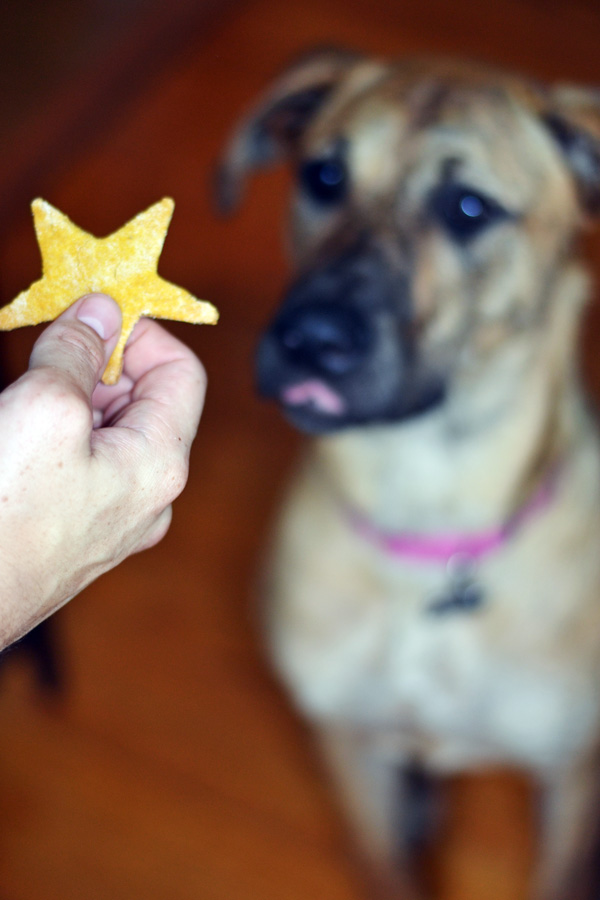 Nala and her baked cookie.