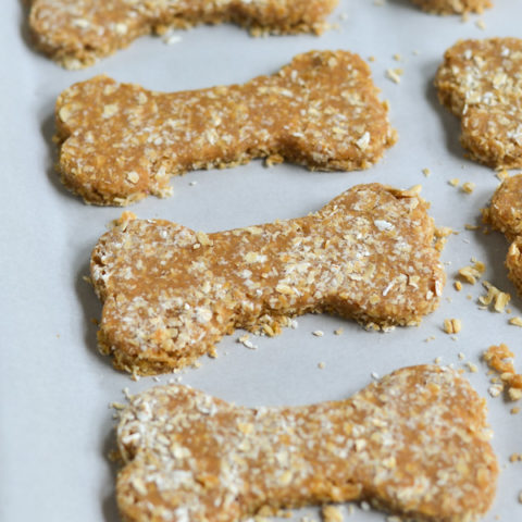 THREE INGREDIENT PUP COOKIES – AMBS LOVES FOOD